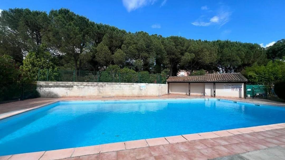 Appartamento Les Capitouls - avec piscine, parking&jardin privé ! Tolosa Esterno foto